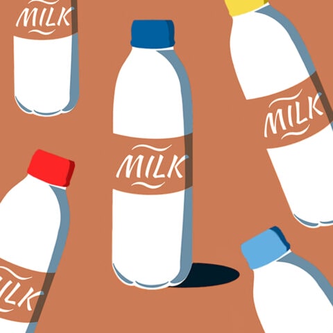 Illustration of milk bottles with different coloured bottle caps