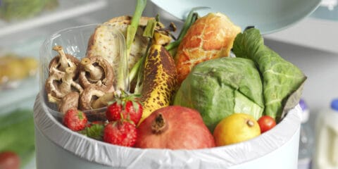 Out of date rotting food in dustbin