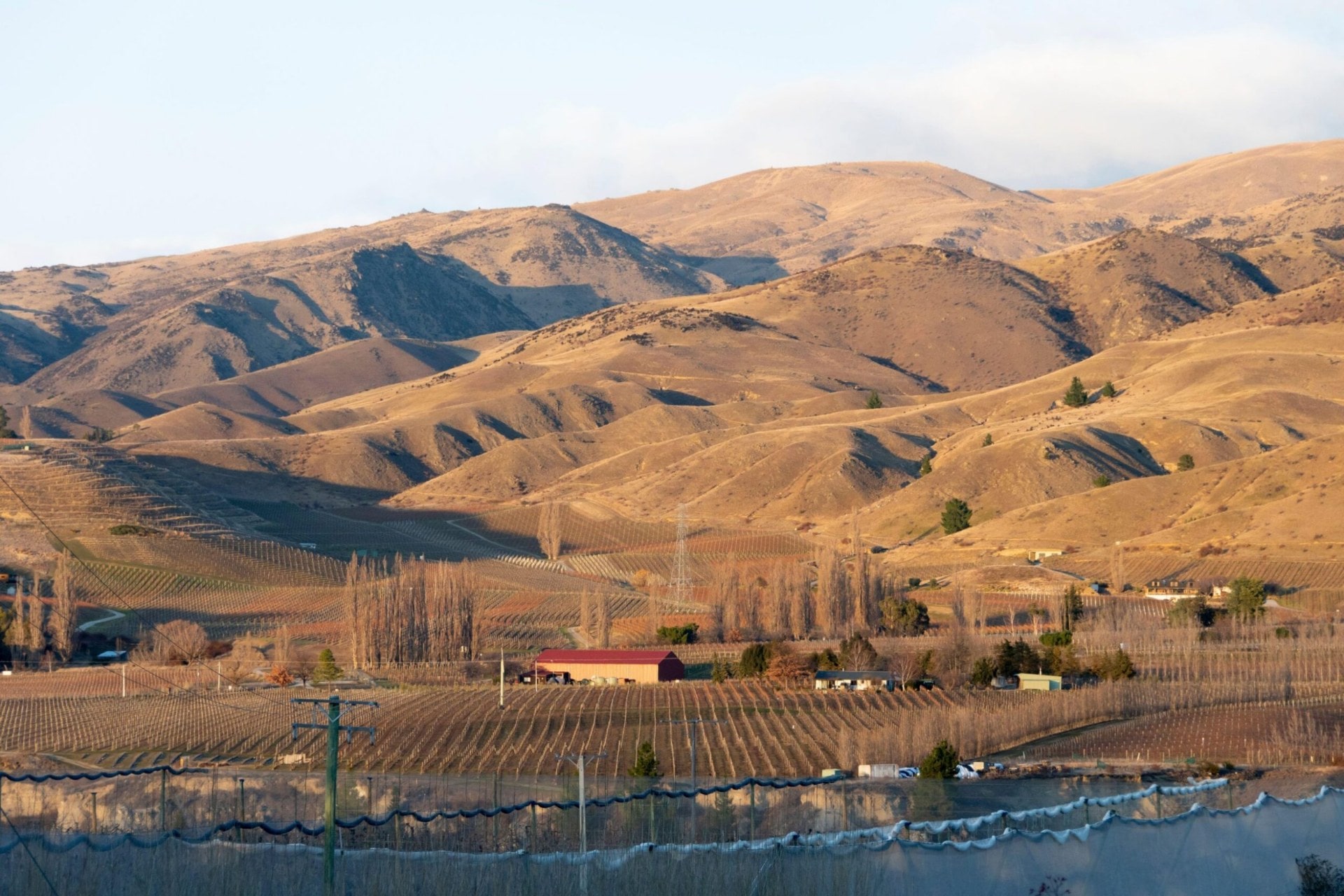 Landscape of Bannockburn with rolling hills