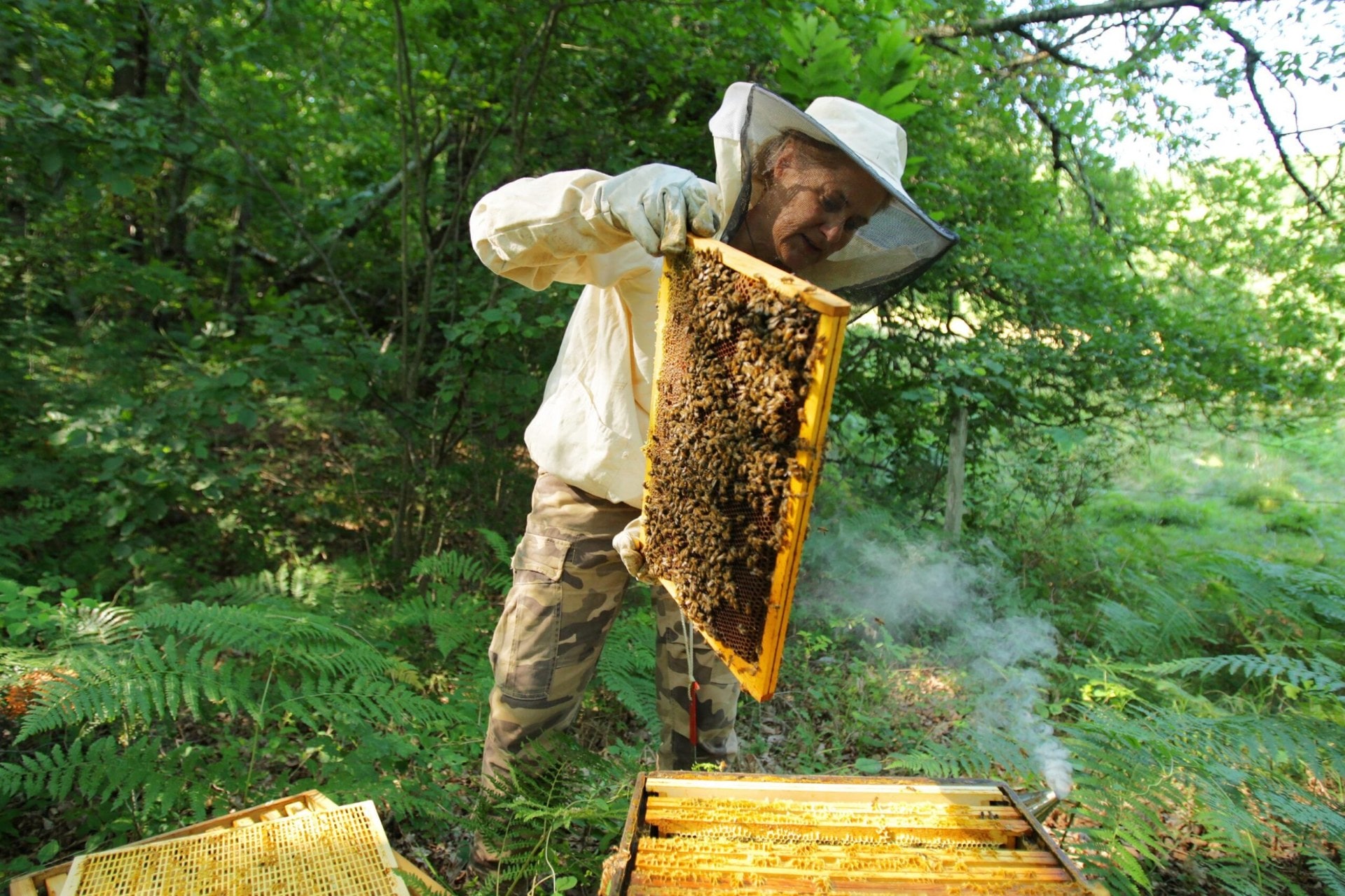 a beekeeper tending to a hive