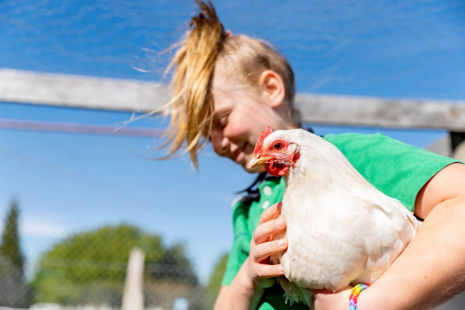 Girl with high blonde pony tail holding live chicken