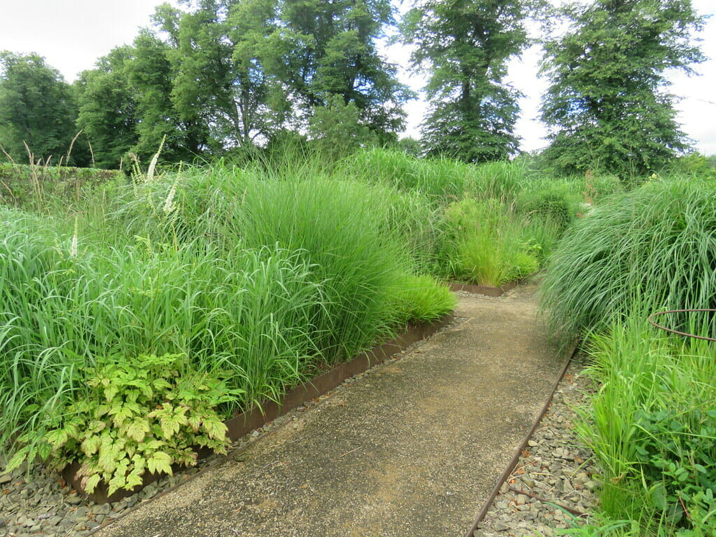 Christopher Bradley-Hole’s grass garden at Bury Court in the UK