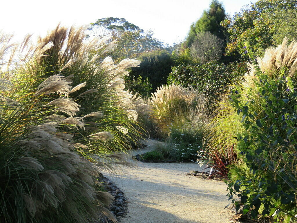 Court Garden