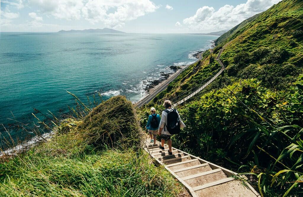 Staircase of the escarpment track in the Kapiti Coast. 