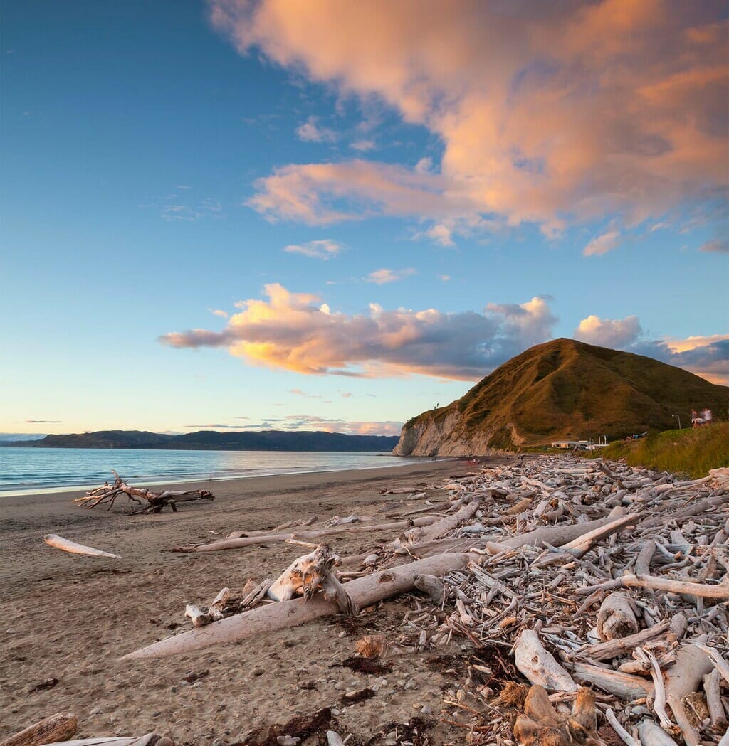 Mahia Peninsula 