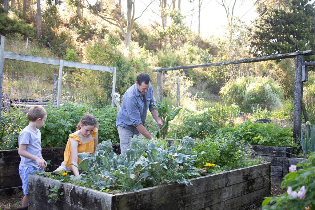 Man and 2 young children tending to vegetable garden