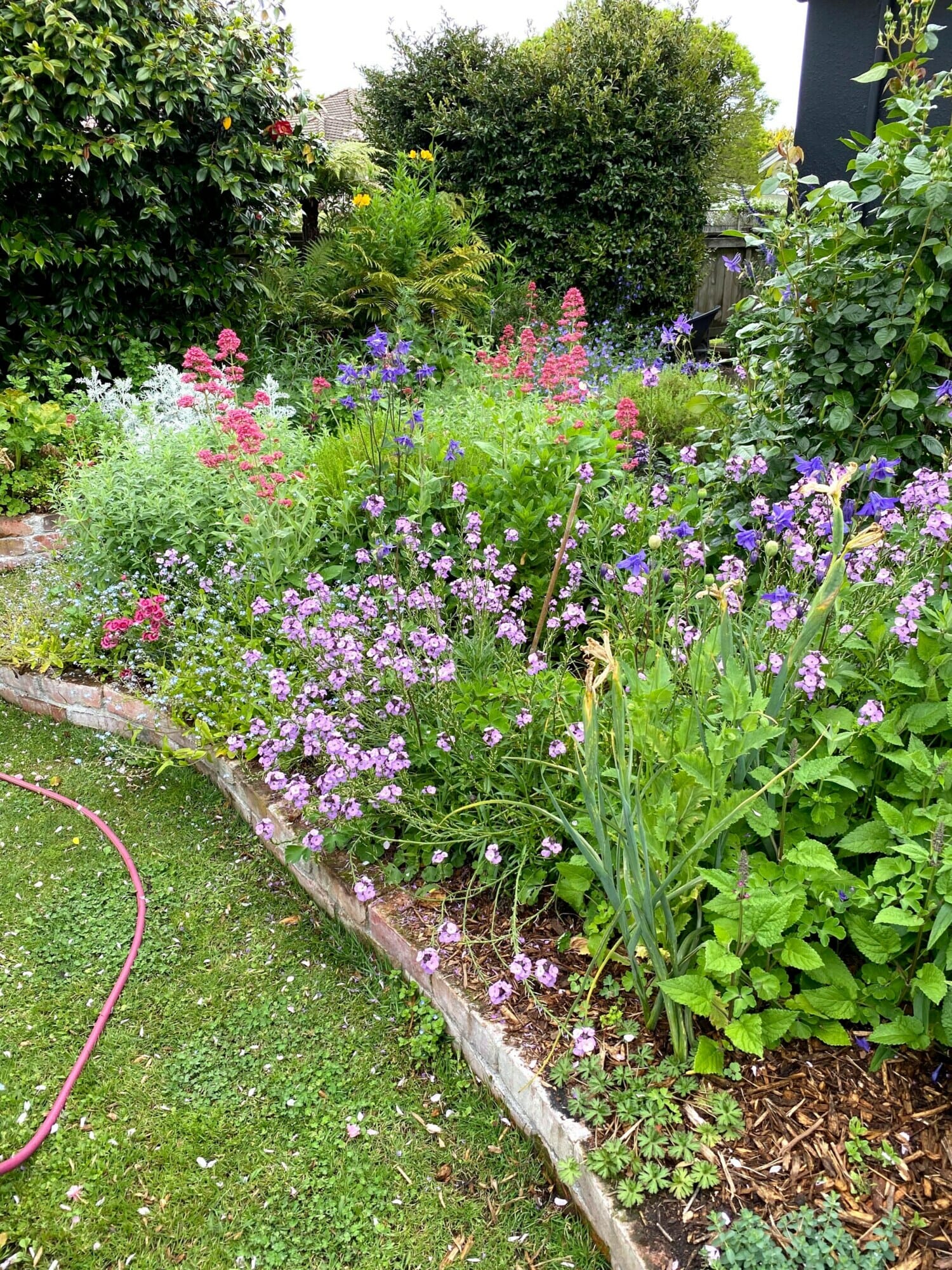 Georgina Langdales garden.