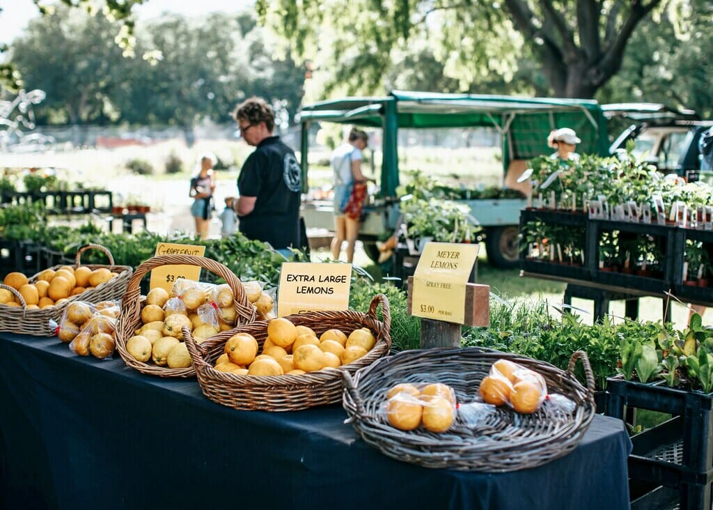 Fresh produce at Hawke's Bay Farmers' Market.