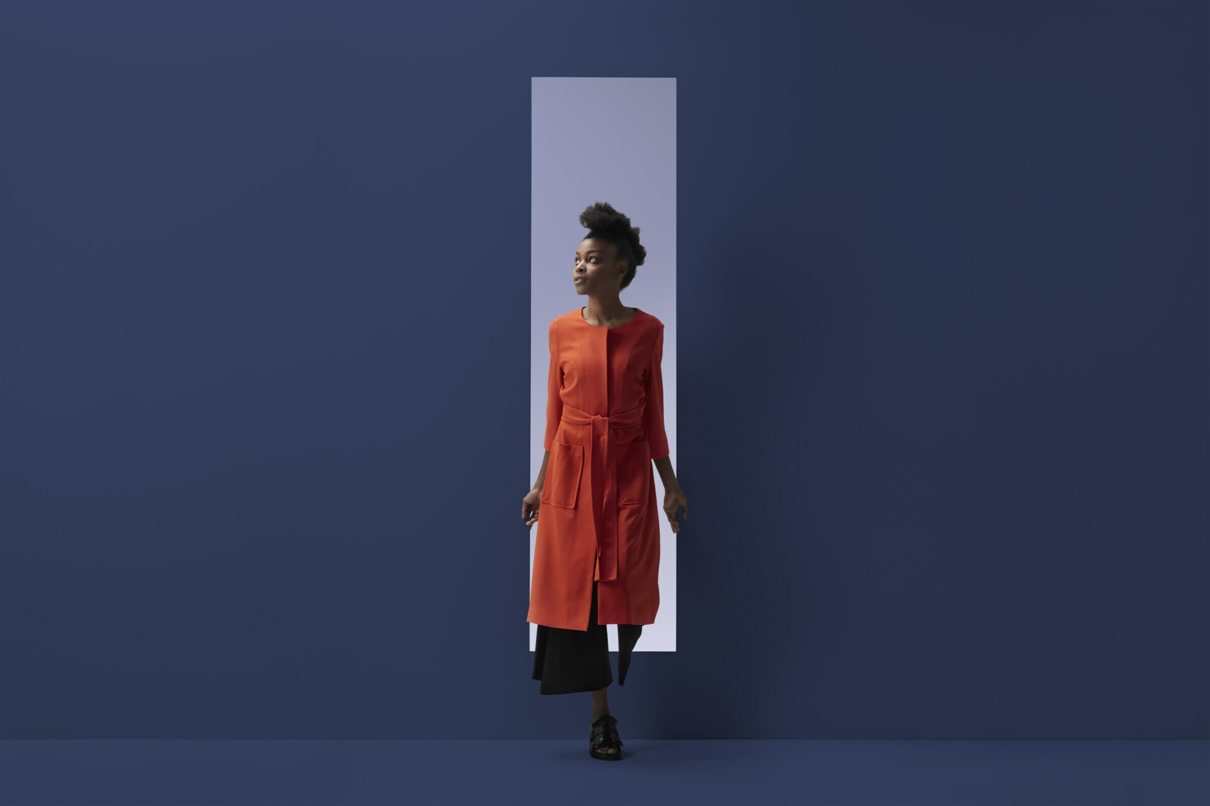 What Is Self Determination Theory What Is Self Determination Theory