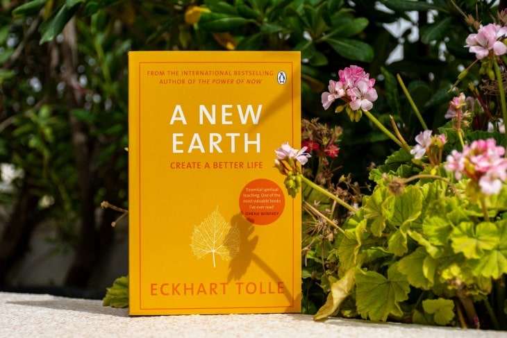 Book cover of A New Earth: Create a Better Life