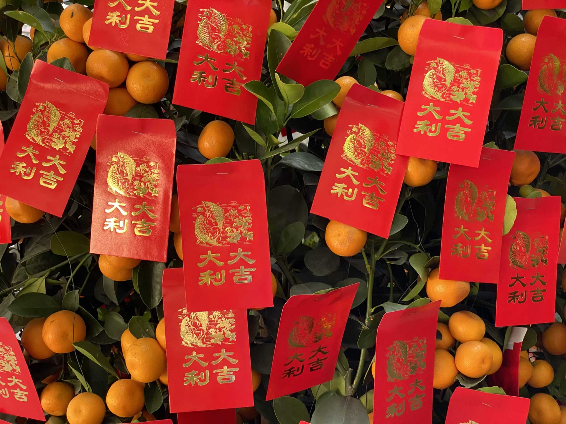 Chinese New Year Lucky Red Envelope Tradition Explained