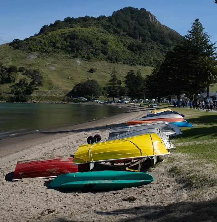 Pilot Bay Tauranga