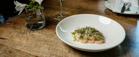 Brown Brothers Raw King Fish with Fennel and Horseradish