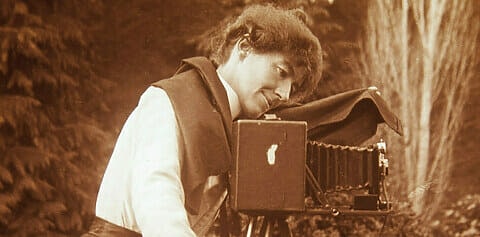 Through the Shaded Glass Extract