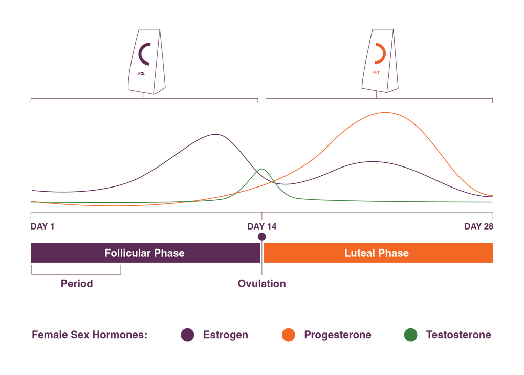 Seed Cycling