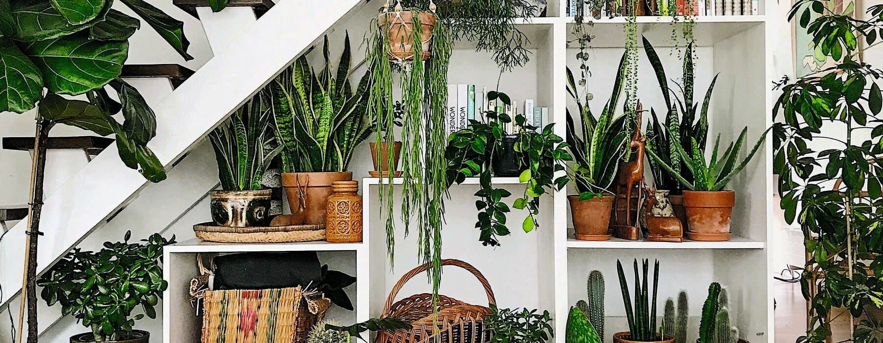 921b166098b0865251197e74cfc5688cad7813a4-3024x3024-1