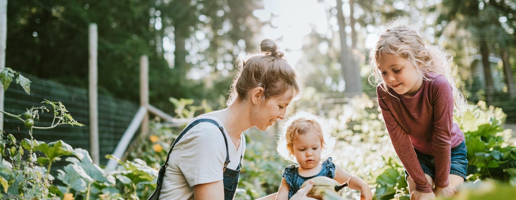 9bd4ff3bbf7e1cf538ce66e4c8eacdf2edf25882-6720x4480-1