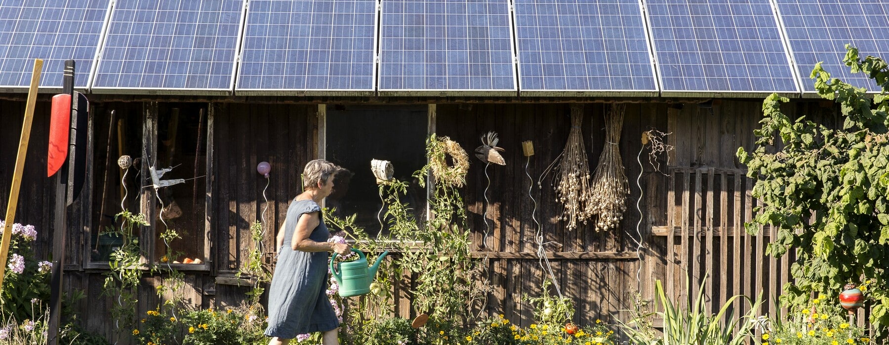 Woman with watering can next to roof of solar panels