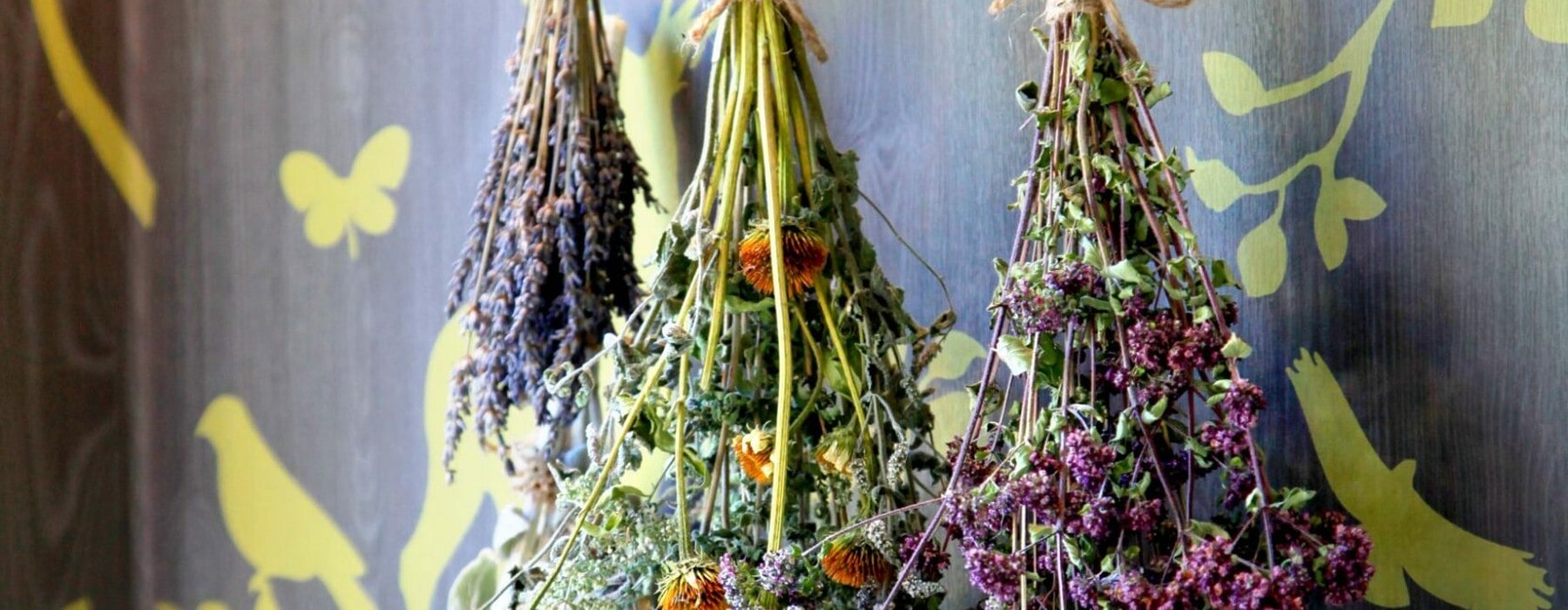 hanging dried shrubs and herbs