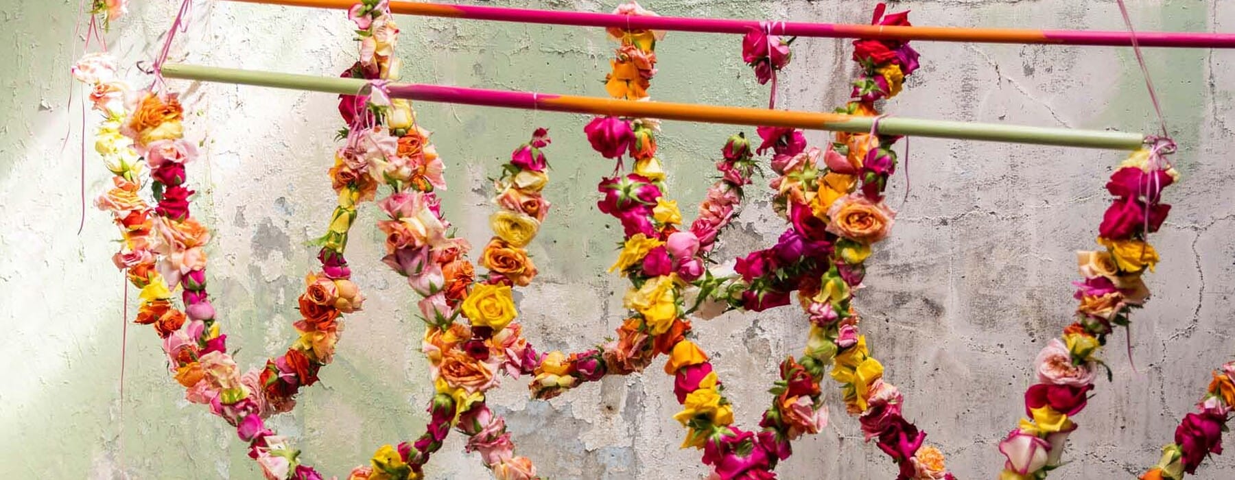 Hav0222_Bloom__T4A9790