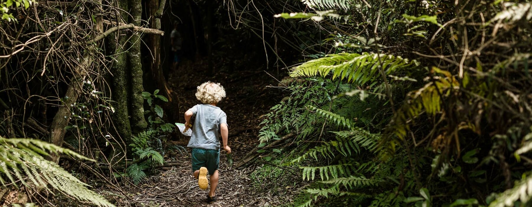 Young boy running into a lush forest