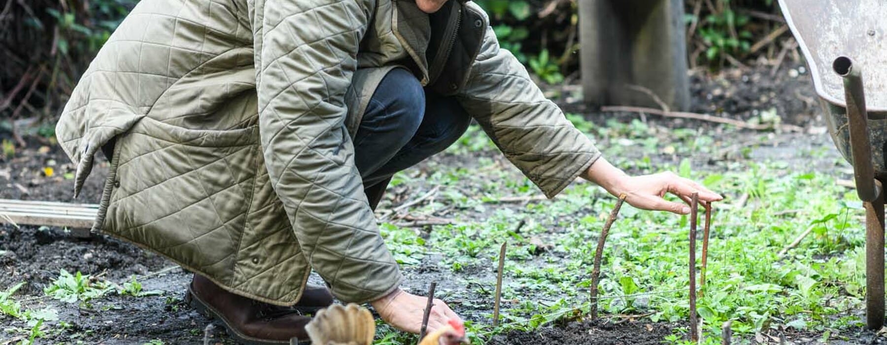 Marian Boswall - The Sustainable Garden (1st October 2020)