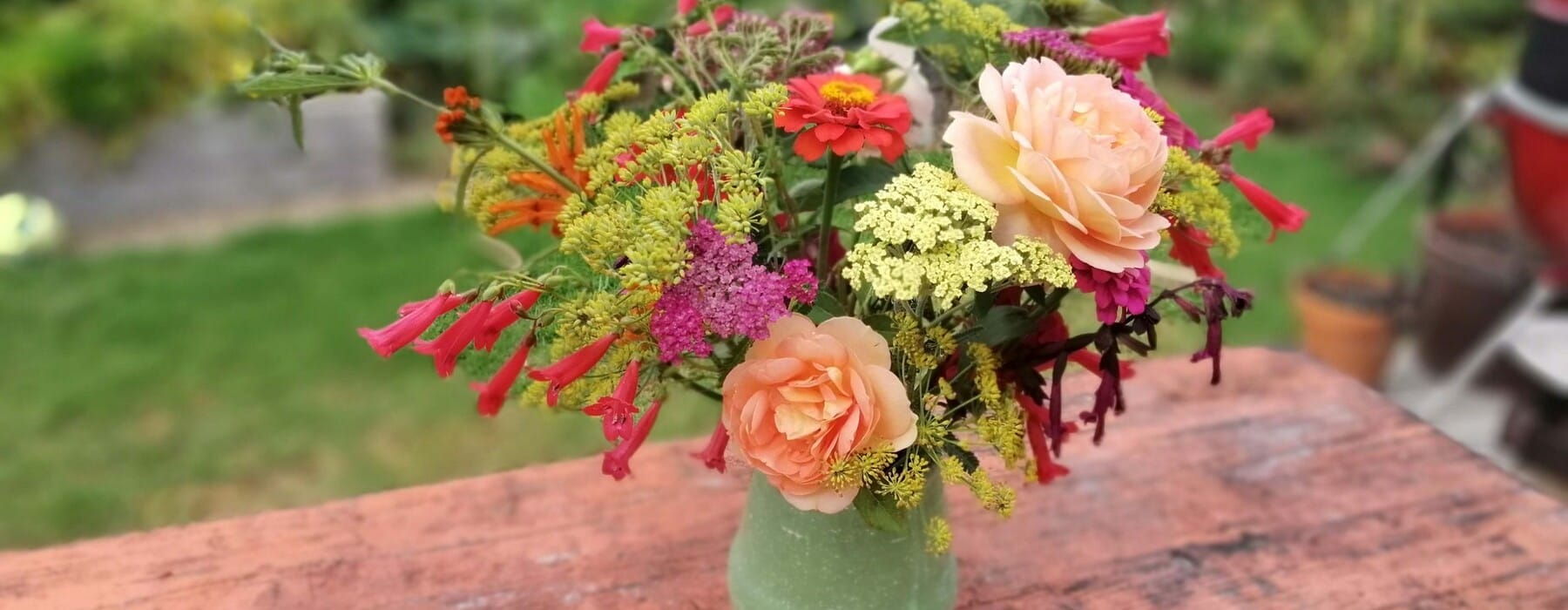 Hav1021_AvantGardener_Flowers-scaled