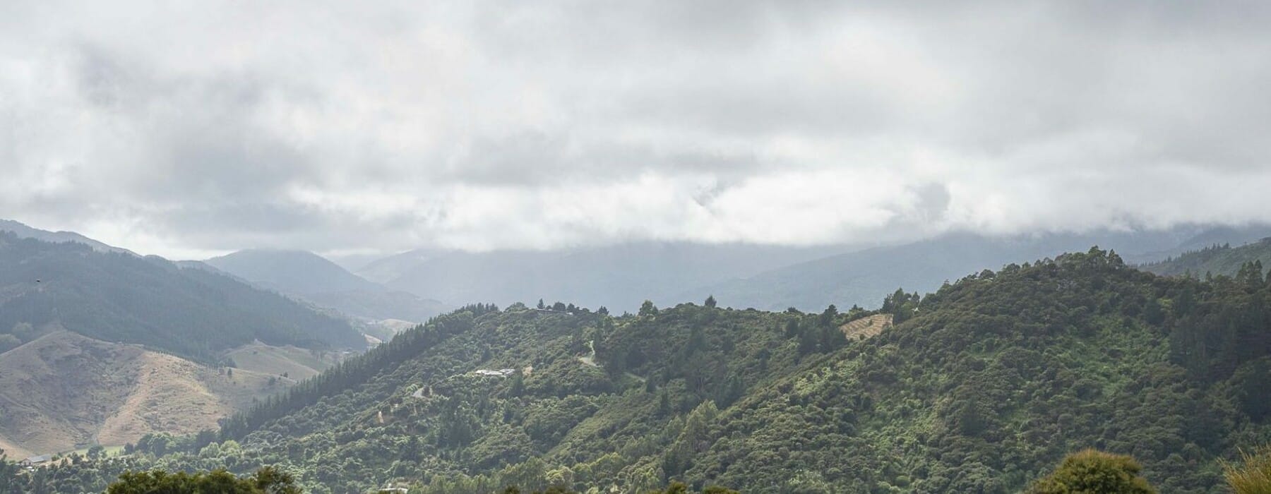 Hills-Serena-2-scaled