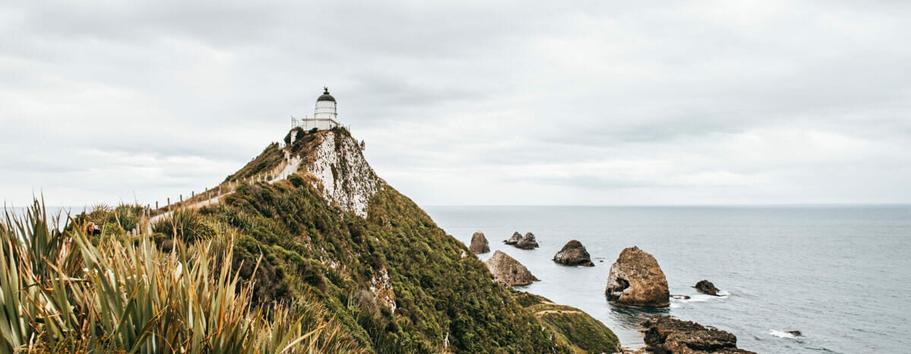Nugget-Point