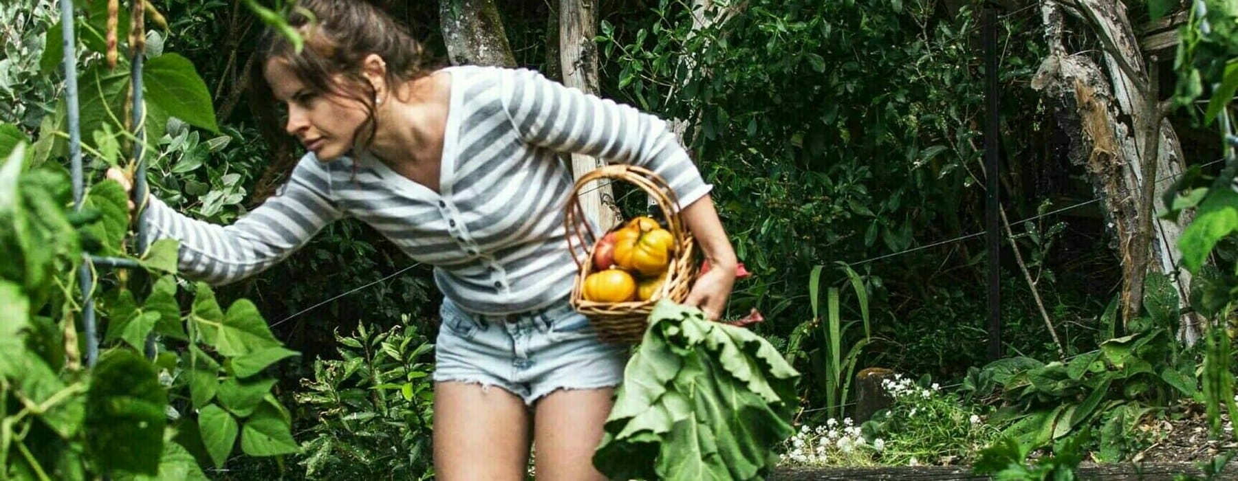 THR0622_NO_DIG_GARDEN_-Elien-1_1