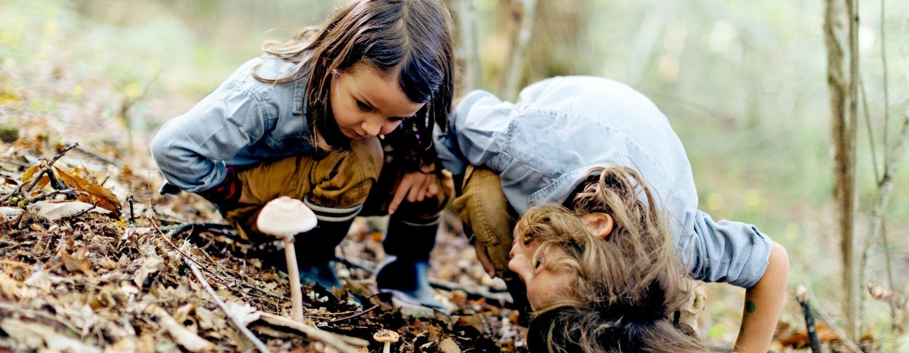 Two little girls inspecting mushrooms growing in a forest