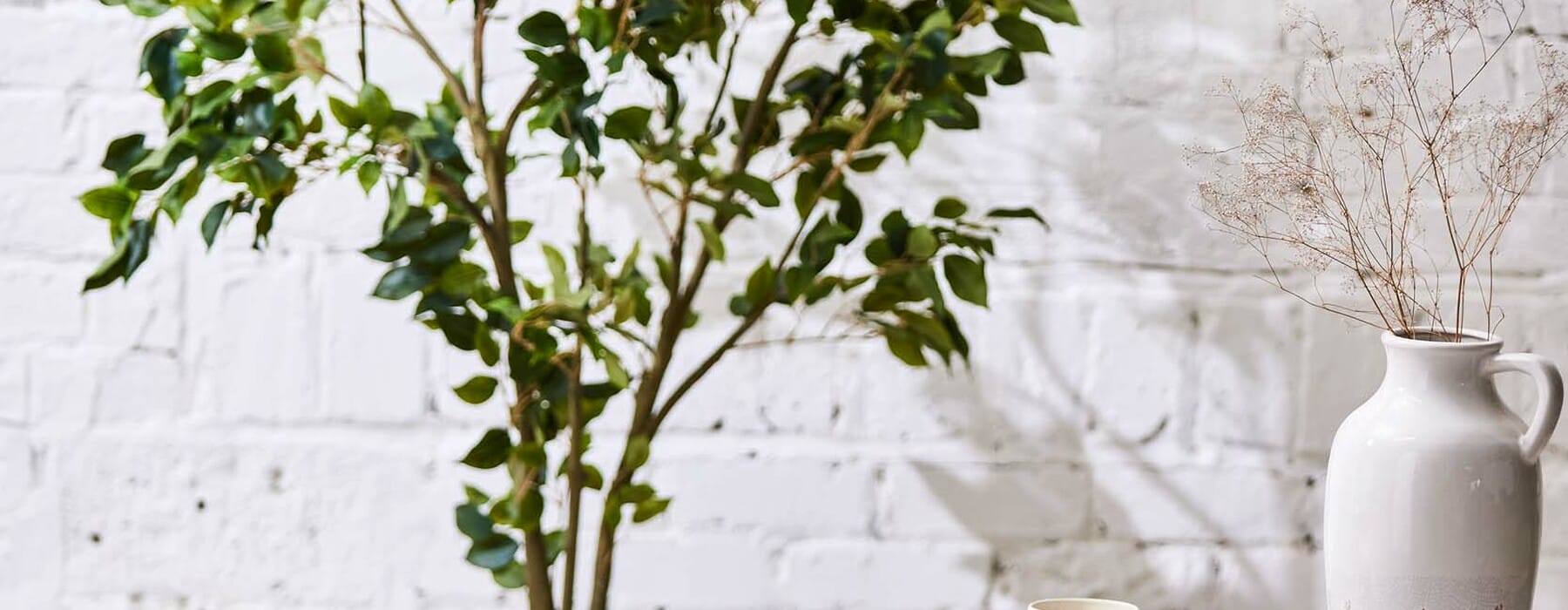 Thr0222_Crafty_Jan-202217175-1