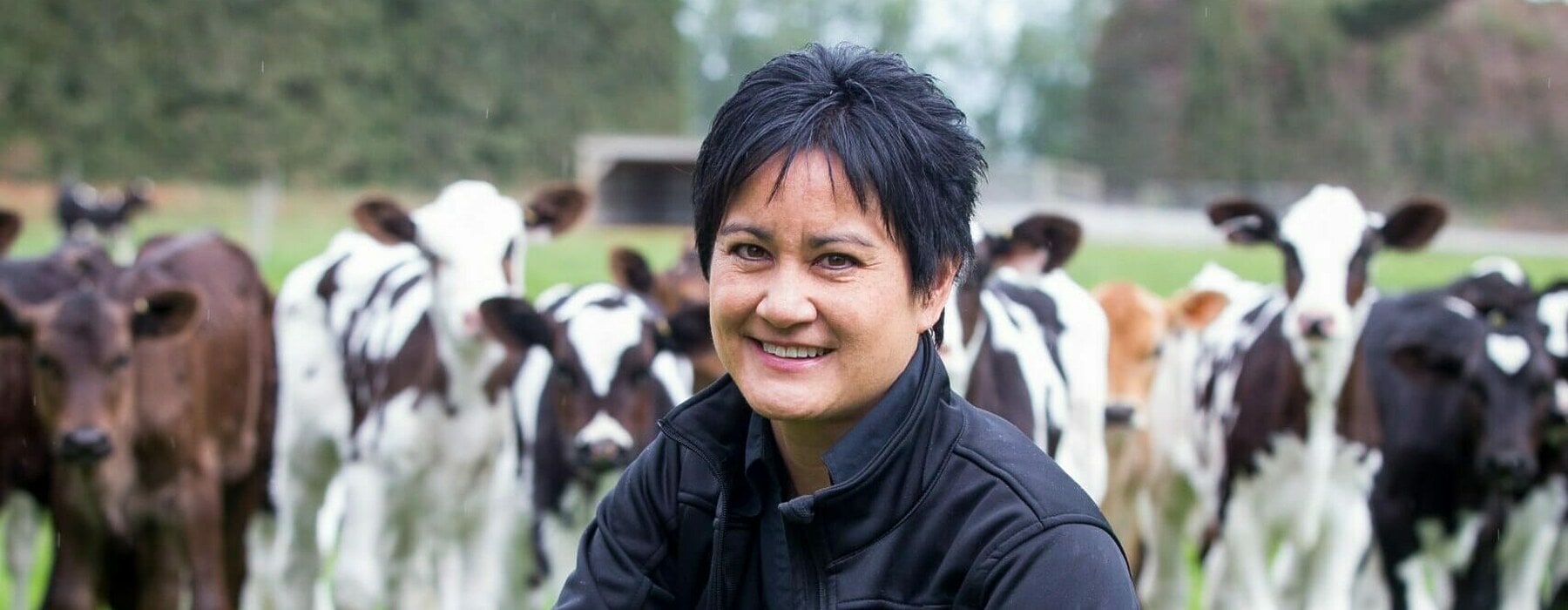 Jessie Chan crouches in a field of cows.