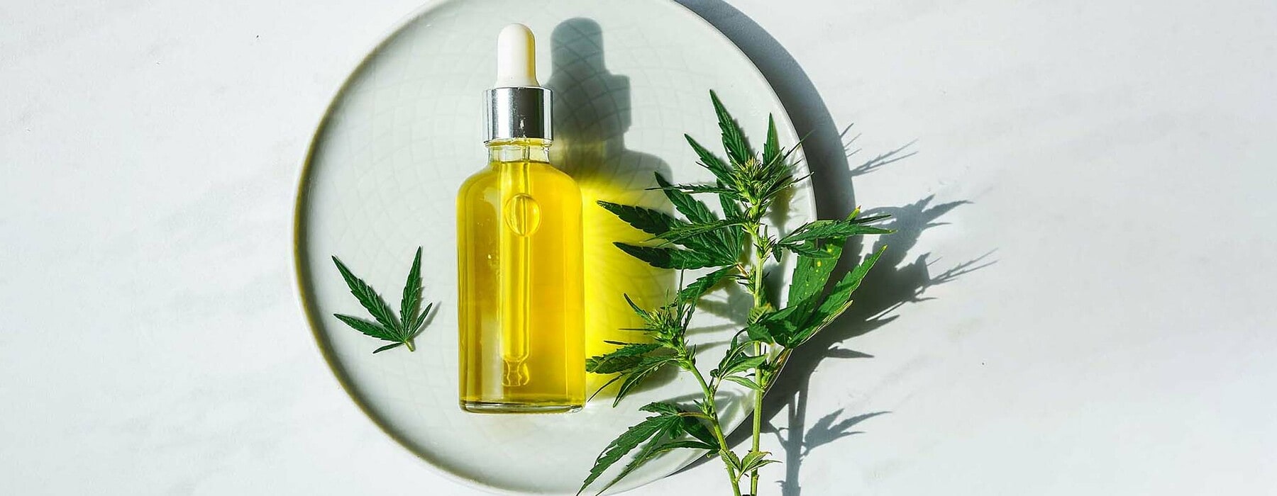 CBD Oil bottle and dropper on a small plate and on a marble surface. Cannabis leaves nearby. Flat lay, minimalism. Beauty photo with contrasting sun shadows