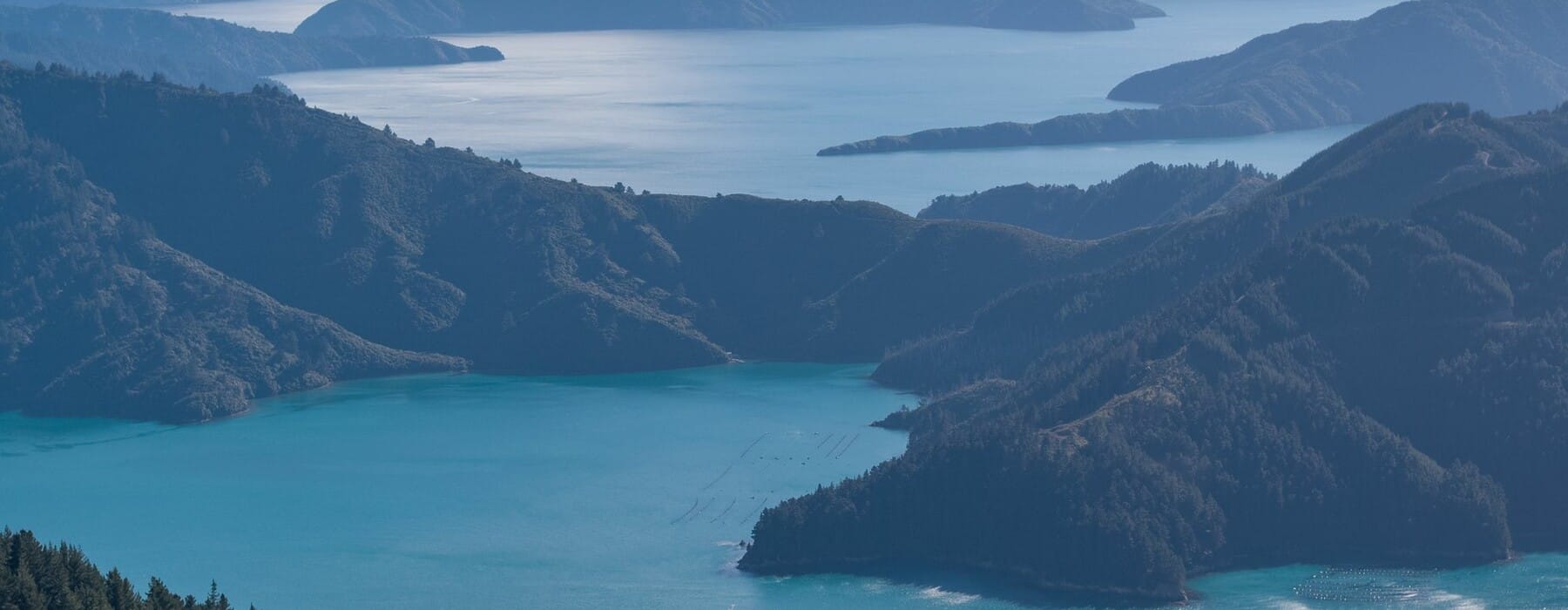Ferry cruising through the Marlborough Sounds