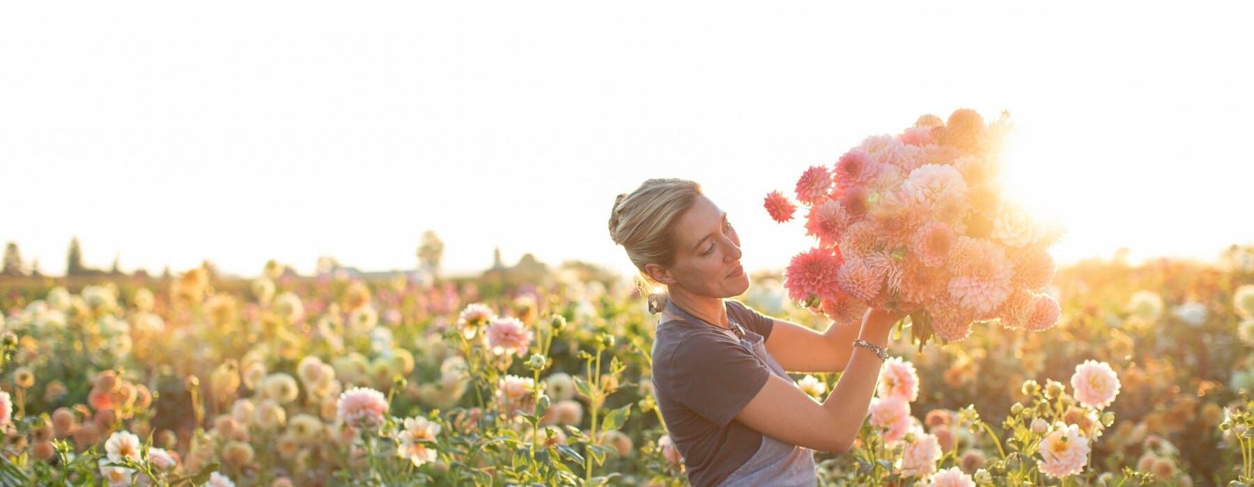 b727b107d23aa909138dd38d7a2bbf54c3402f5b-6720x4480-1