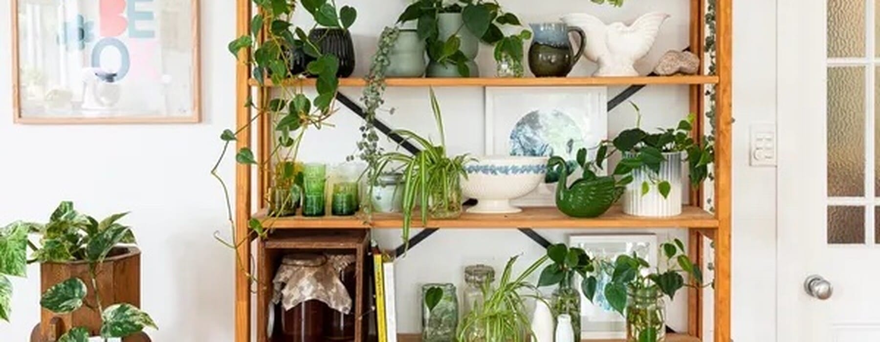 ff3b077578163fc2477246bbc9a3f64461f4c109-3337x5000-1