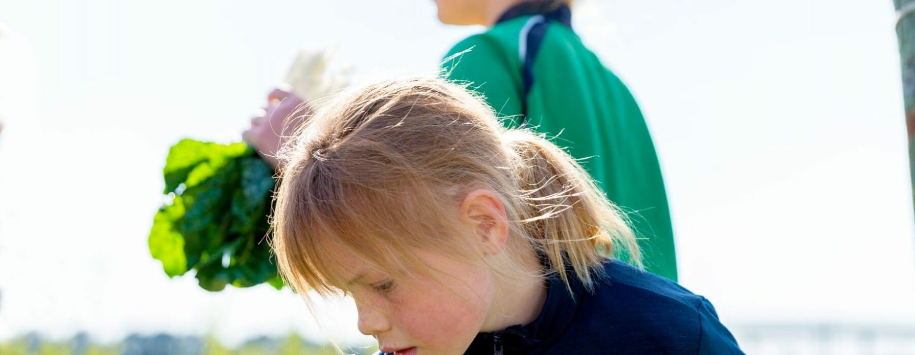 Two young school girls picking silverbeet